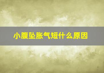 小腹坠胀气短什么原因