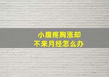 小腹疼胸涨却不来月经怎么办