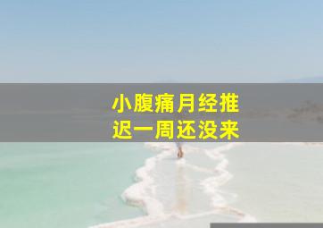 小腹痛月经推迟一周还没来