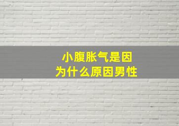 小腹胀气是因为什么原因男性