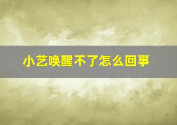 小艺唤醒不了怎么回事