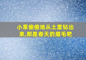 小草偷偷地从土里钻出来,那是春天的眉毛吧