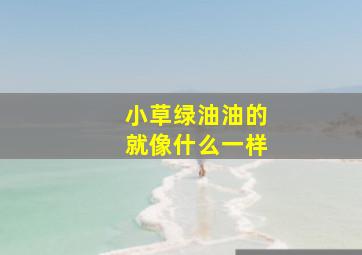 小草绿油油的就像什么一样