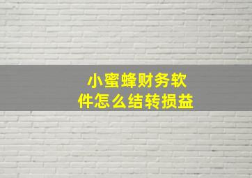 小蜜蜂财务软件怎么结转损益