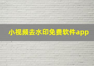 小视频去水印免费软件app