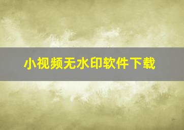 小视频无水印软件下载