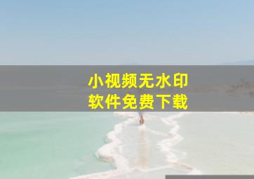 小视频无水印软件免费下载