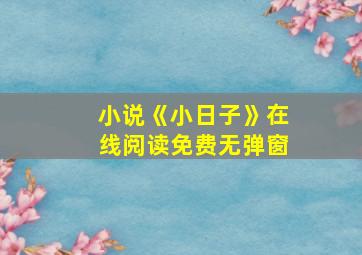 小说《小日子》在线阅读免费无弹窗