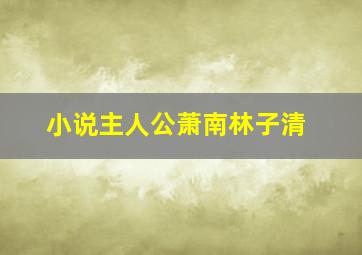 小说主人公萧南林子清