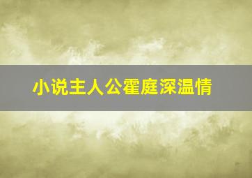 小说主人公霍庭深温情