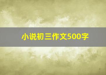 小说初三作文500字