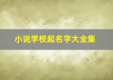 小说学校起名字大全集