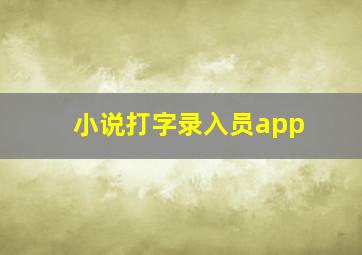 小说打字录入员app