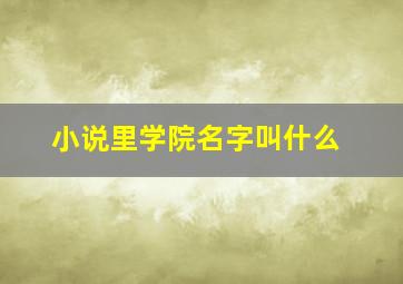 小说里学院名字叫什么