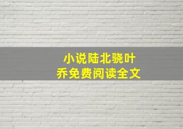 小说陆北骁叶乔免费阅读全文