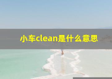 小车clean是什么意思