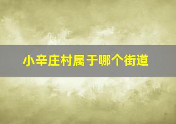 小辛庄村属于哪个街道