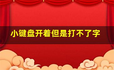 小键盘开着但是打不了字