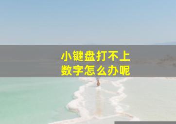 小键盘打不上数字怎么办呢