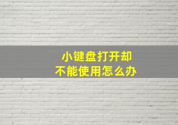 小键盘打开却不能使用怎么办