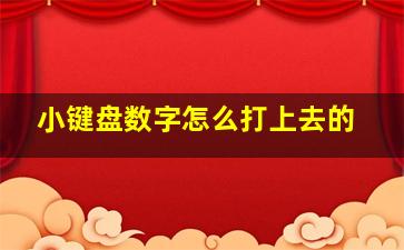 小键盘数字怎么打上去的