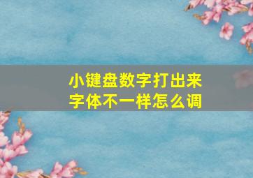 小键盘数字打出来字体不一样怎么调