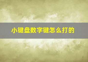 小键盘数字键怎么打的