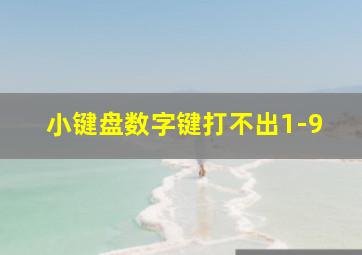 小键盘数字键打不出1-9