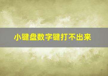 小键盘数字键打不出来