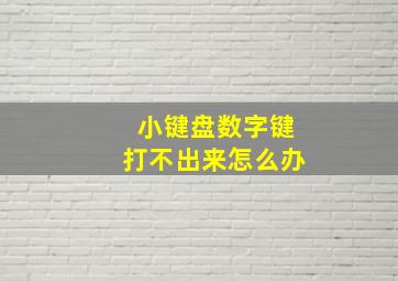 小键盘数字键打不出来怎么办