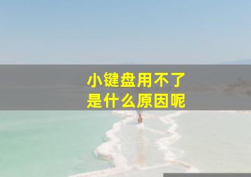 小键盘用不了是什么原因呢