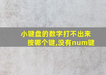 小键盘的数字打不出来按哪个键,没有num键