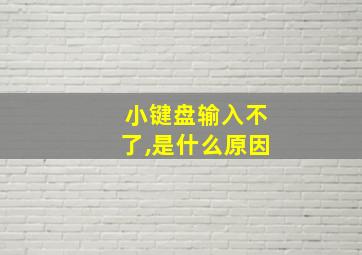 小键盘输入不了,是什么原因