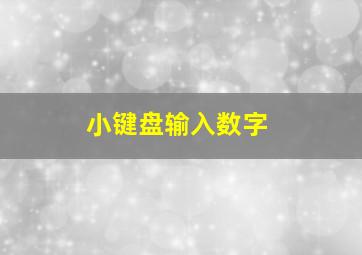 小键盘输入数字