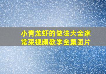 小青龙虾的做法大全家常菜视频教学全集图片