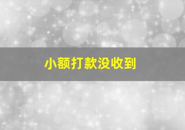 小额打款没收到