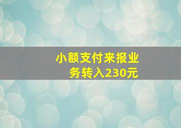 小额支付来报业务转入230元