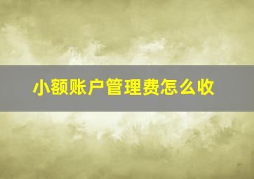 小额账户管理费怎么收