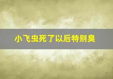 小飞虫死了以后特别臭