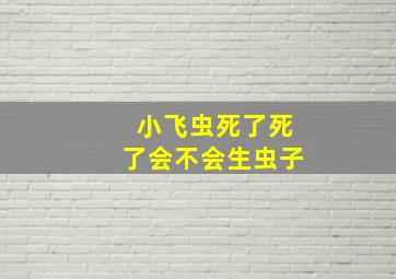 小飞虫死了死了会不会生虫子