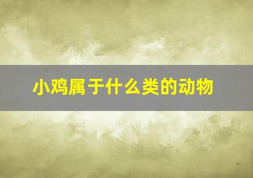 小鸡属于什么类的动物