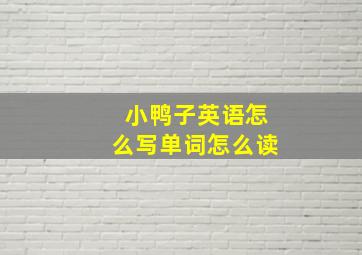 小鸭子英语怎么写单词怎么读