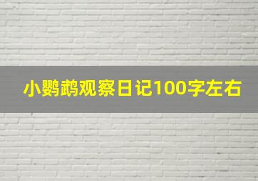 小鹦鹉观察日记100字左右