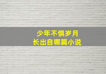 少年不惧岁月长出自哪篇小说