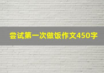 尝试第一次做饭作文450字