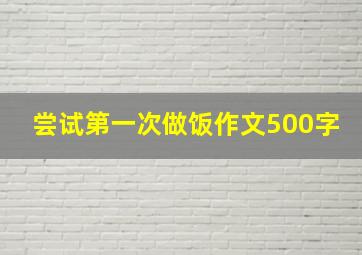 尝试第一次做饭作文500字