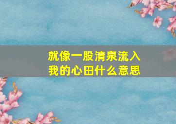 就像一股清泉流入我的心田什么意思