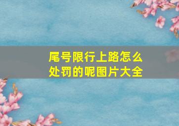 尾号限行上路怎么处罚的呢图片大全