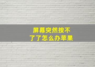 屏幕突然按不了了怎么办苹果