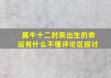 属牛十二时辰出生的命运有什么不懂评论区探讨